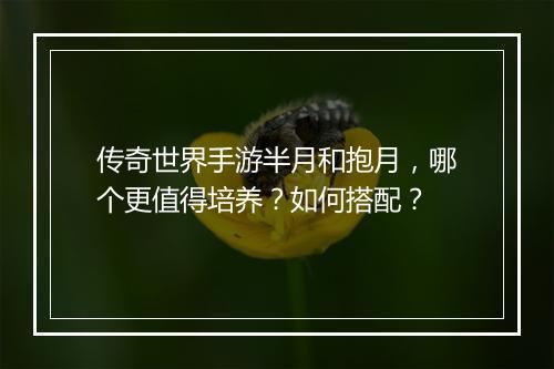 传奇世界手游半月和抱月，哪个更值得培养？如何搭配？
