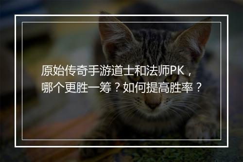 原始传奇手游道士和法师PK，哪个更胜一筹？如何提高胜率？