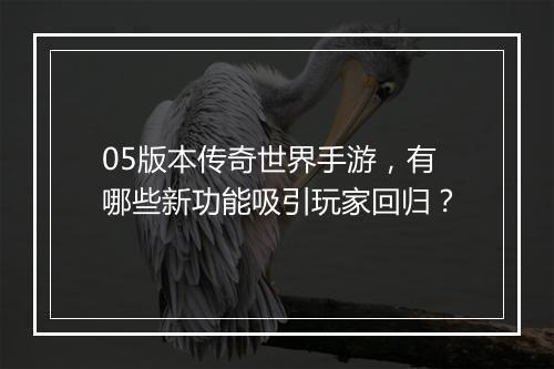 05版本传奇世界手游，有哪些新功能吸引玩家回归？