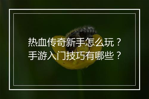 热血传奇新手怎么玩？手游入门技巧有哪些？