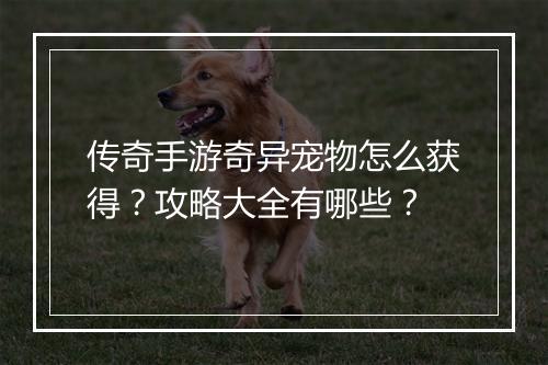 传奇手游奇异宠物怎么获得？攻略大全有哪些？