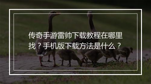 传奇手游雷帅下载教程在哪里找？手机版下载方法是什么？