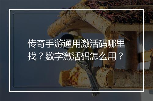 传奇手游通用激活码哪里找？数字激活码怎么用？