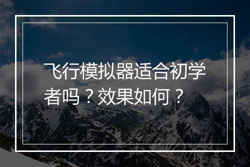 飞行模拟器适合初学者吗？效果如何？