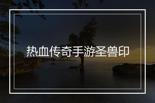 热血传奇手游圣兽印