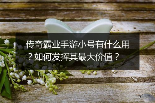 传奇霸业手游小号有什么用？如何发挥其最大价值？
