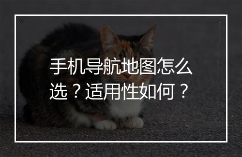 手机导航地图怎么选？适用性如何？