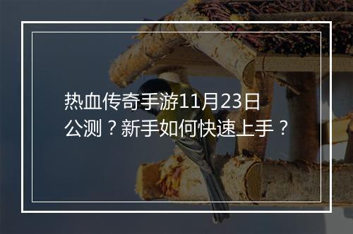 热血传奇手游11月23日公测？新手如何快速上手？