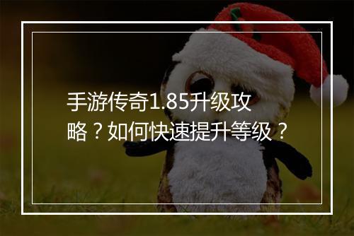 手游传奇1.85升级攻略？如何快速提升等级？