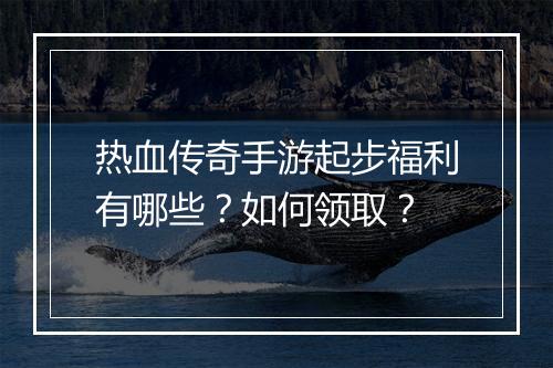 热血传奇手游起步福利有哪些？如何领取？