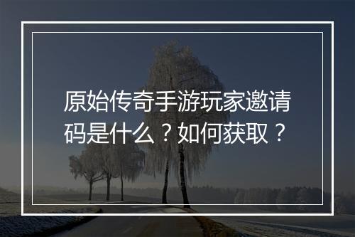 原始传奇手游玩家邀请码是什么？如何获取？