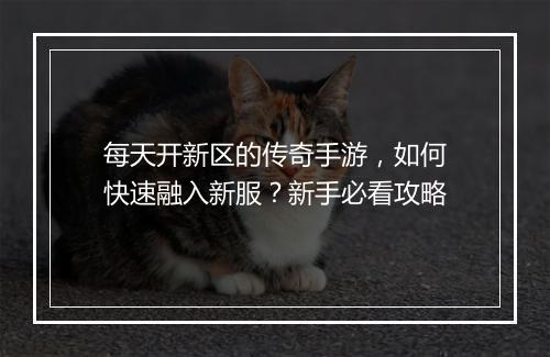 每天开新区的传奇手游，如何快速融入新服？新手必看攻略