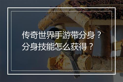 传奇世界手游带分身？分身技能怎么获得？