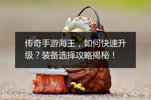 传奇手游海王，如何快速升级？装备选择攻略揭秘！