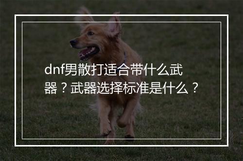 dnf男散打适合带什么武器？武器选择标准是什么？