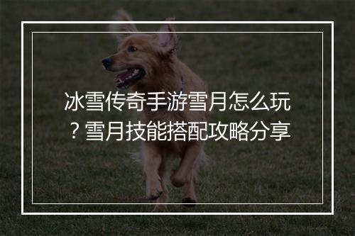 冰雪传奇手游雪月怎么玩？雪月技能搭配攻略分享