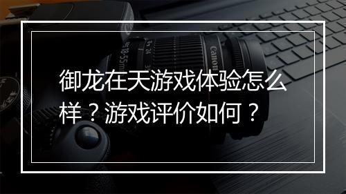 御龙在天游戏体验怎么样？游戏评价如何？
