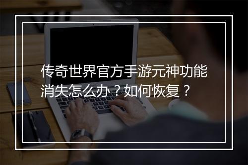 传奇世界官方手游元神功能消失怎么办？如何恢复？