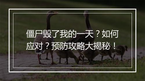 僵尸毁了我的一天？如何应对？预防攻略大揭秘！