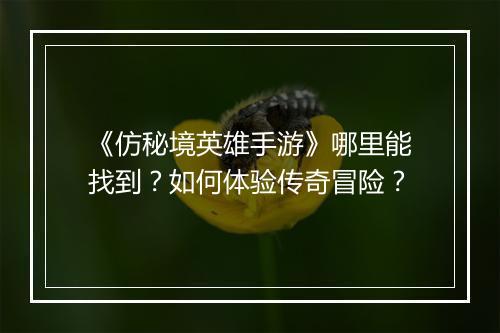 《仿秘境英雄手游》哪里能找到？如何体验传奇冒险？
