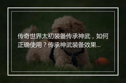 传奇世界太初装备传承神武，如何正确使用？传承神武装备效果如何？