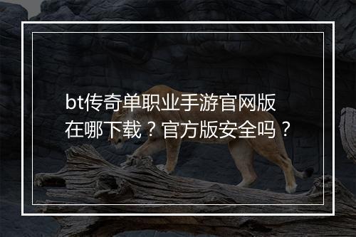 bt传奇单职业手游官网版在哪下载？官方版安全吗？