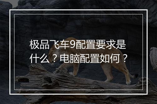 极品飞车9配置要求是什么？电脑配置如何？