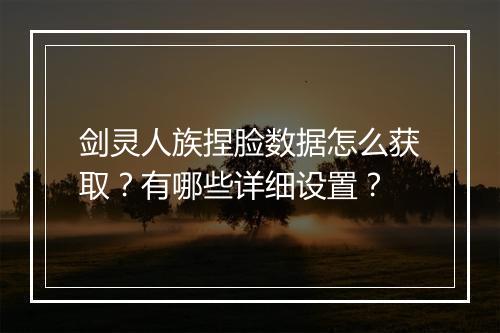 剑灵人族捏脸数据怎么获取？有哪些详细设置？