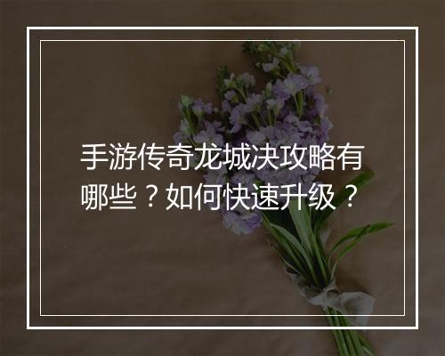 手游传奇龙城决攻略有哪些？如何快速升级？