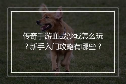 传奇手游血战沙城怎么玩？新手入门攻略有哪些？
