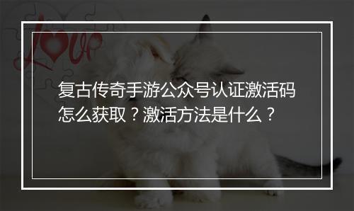 复古传奇手游公众号认证激活码怎么获取？激活方法是什么？
