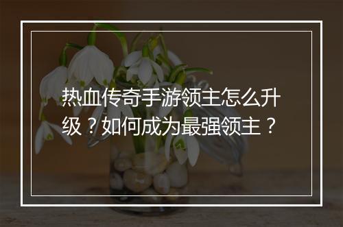 热血传奇手游领主怎么升级？如何成为最强领主？