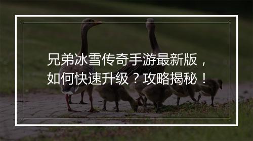 兄弟冰雪传奇手游最新版，如何快速升级？攻略揭秘！