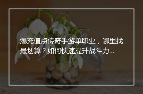 爆充值点传奇手游单职业，哪里找最划算？如何快速提升战斗力？