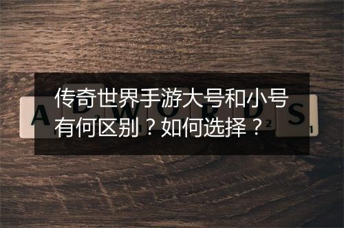 传奇世界手游大号和小号有何区别？如何选择？