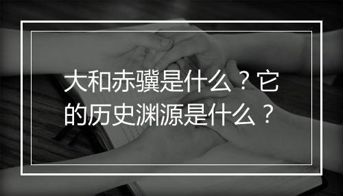 大和赤骥是什么？它的历史渊源是什么？