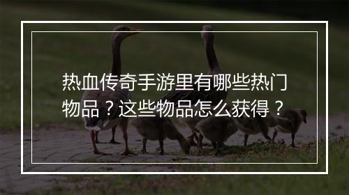 热血传奇手游里有哪些热门物品？这些物品怎么获得？