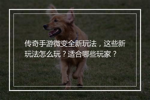 传奇手游微变全新玩法，这些新玩法怎么玩？适合哪些玩家？