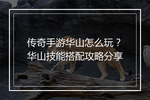 传奇手游华山怎么玩？华山技能搭配攻略分享