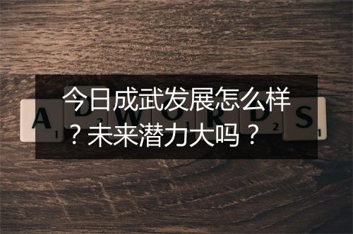 今日成武发展怎么样？未来潜力大吗？