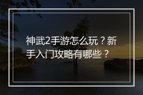 神武2手游怎么玩？新手入门攻略有哪些？