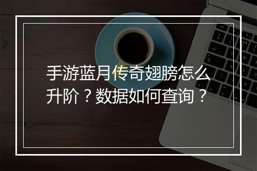 手游蓝月传奇翅膀怎么升阶？数据如何查询？