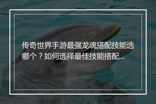 传奇世界手游最强龙魂搭配技能选哪个？如何选择最佳技能搭配？