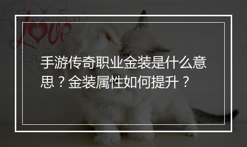 手游传奇职业金装是什么意思？金装属性如何提升？