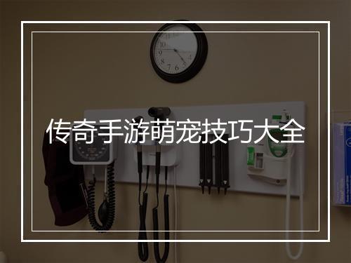 传奇手游萌宠技巧大全