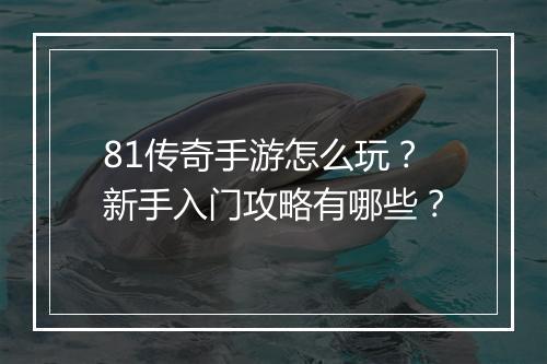 81传奇手游怎么玩？新手入门攻略有哪些？