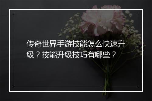 传奇世界手游技能怎么快速升级？技能升级技巧有哪些？