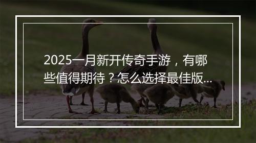 2025一月新开传奇手游，有哪些值得期待？怎么选择最佳版本？