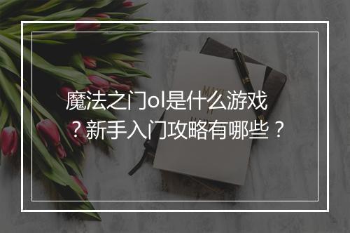 魔法之门ol是什么游戏？新手入门攻略有哪些？