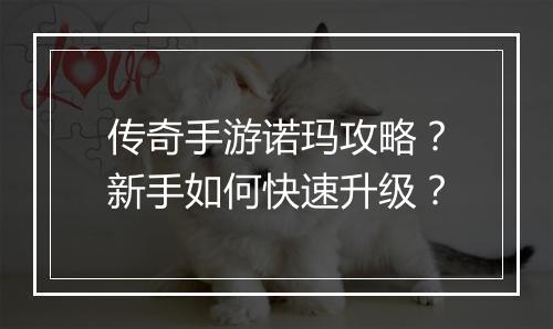 传奇手游诺玛攻略？新手如何快速升级？